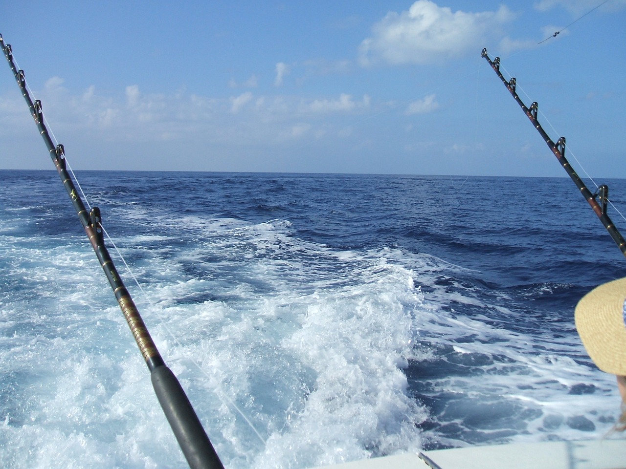 fishing rod